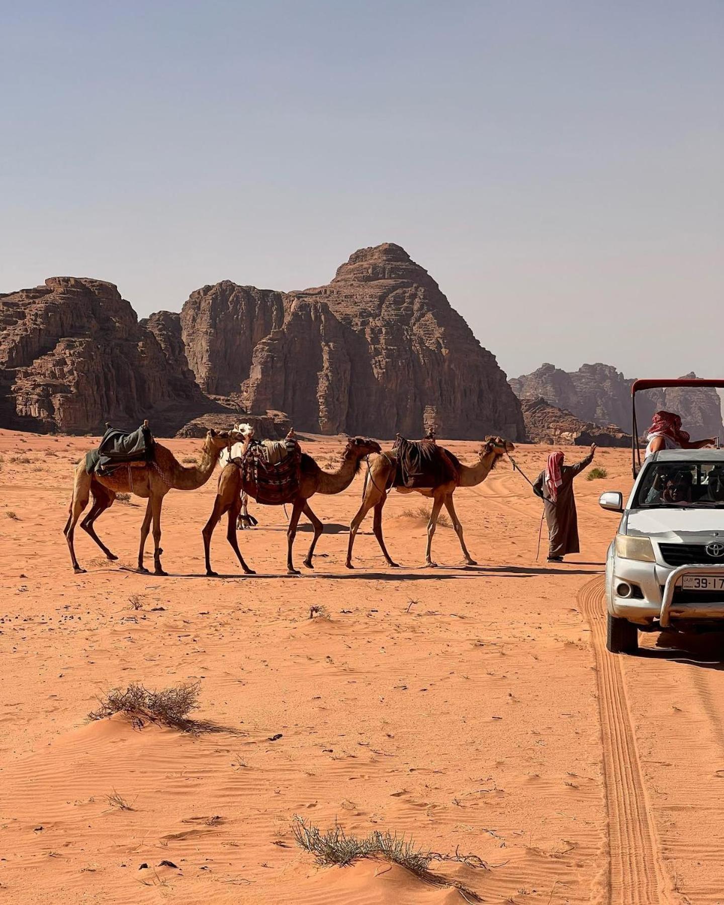 Daniela Camp Wadi Rum Luaran gambar