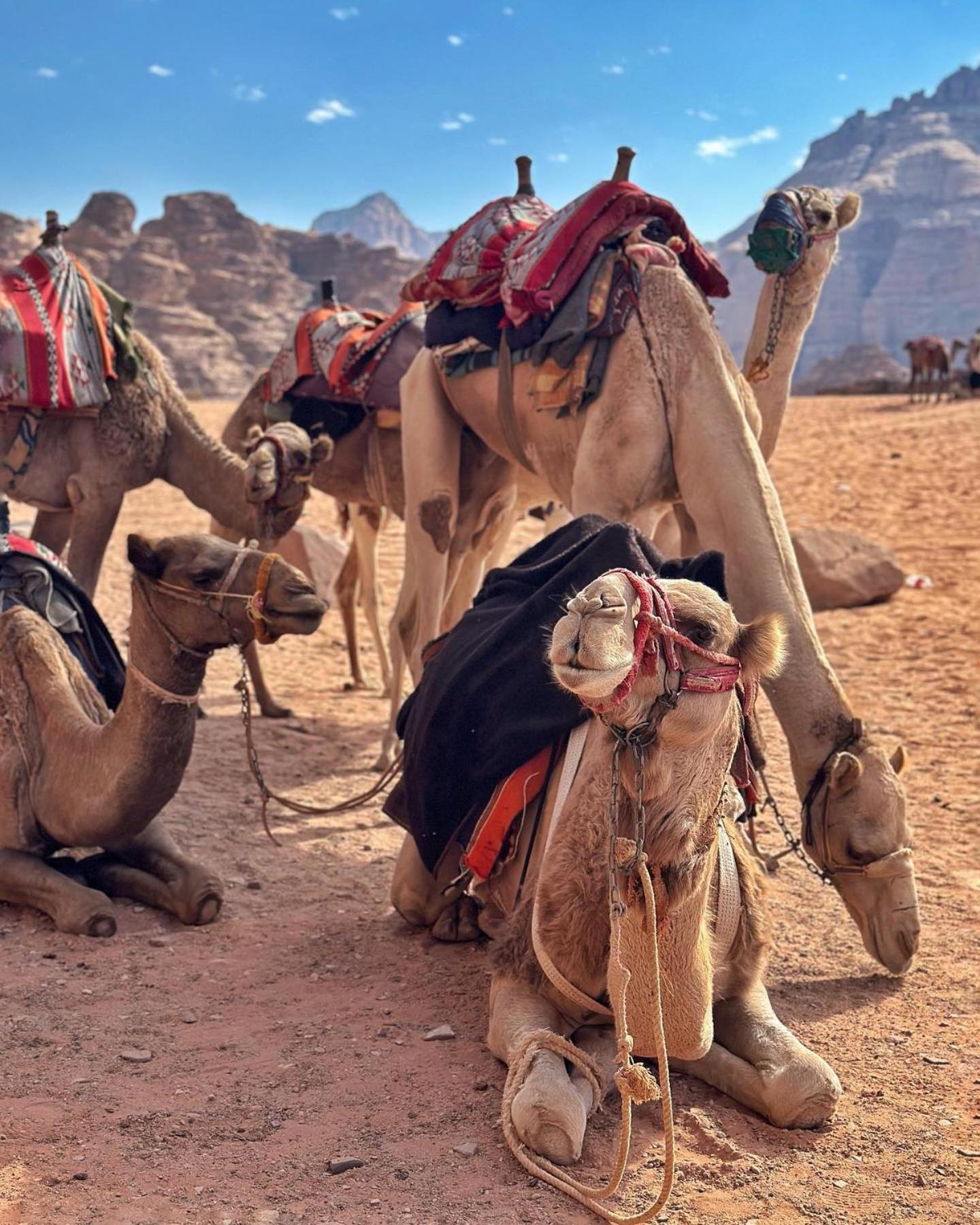 Daniela Camp Wadi Rum Luaran gambar