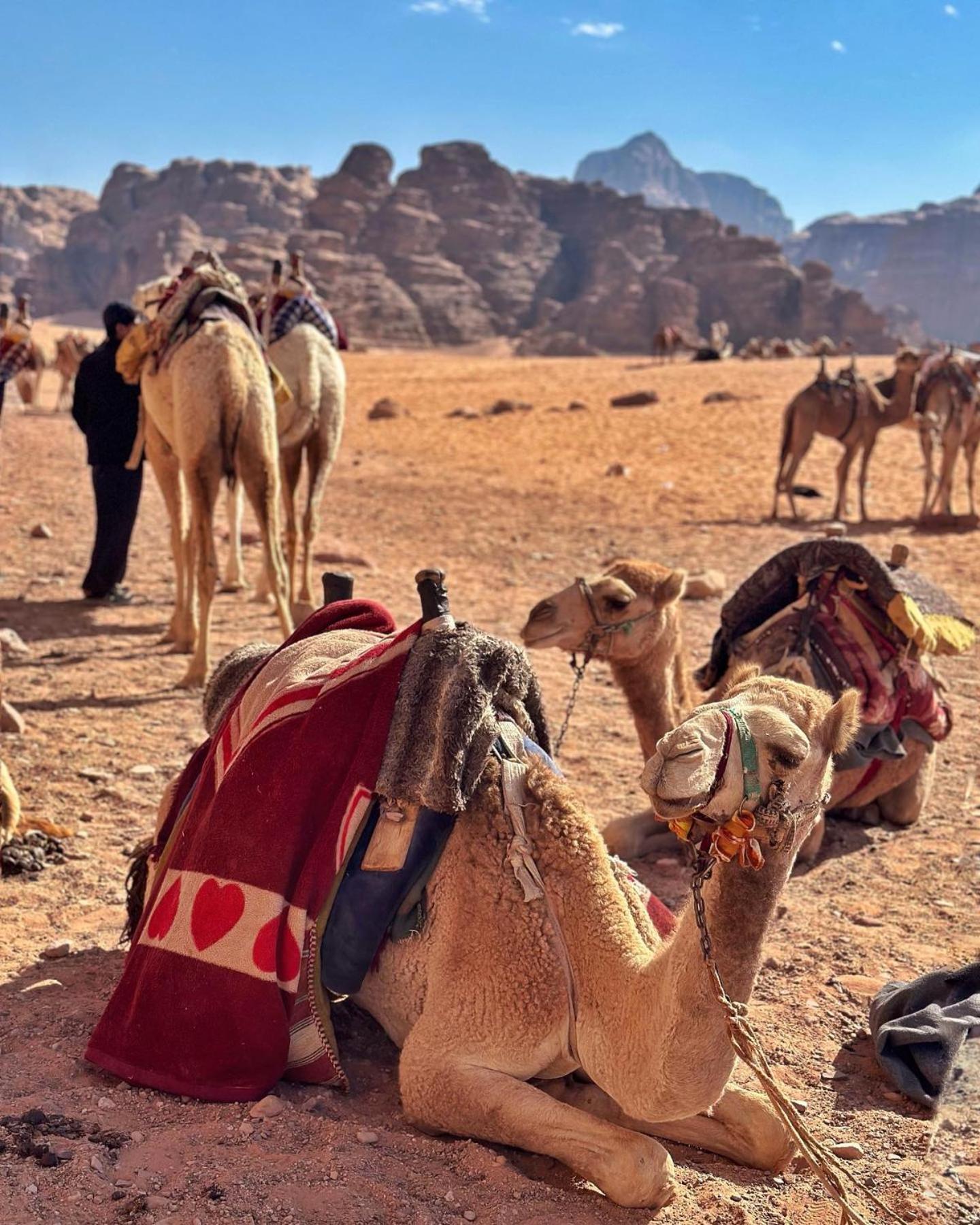 Daniela Camp Wadi Rum Luaran gambar