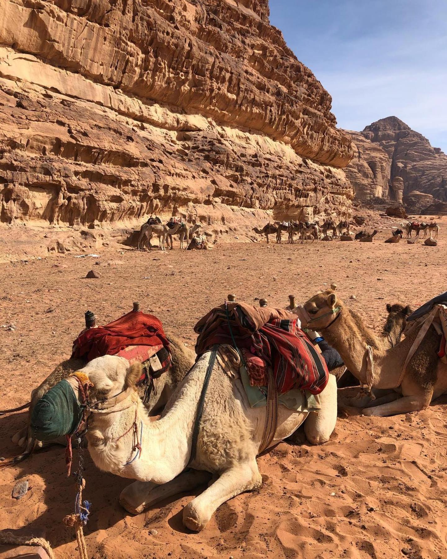 Daniela Camp Wadi Rum Luaran gambar